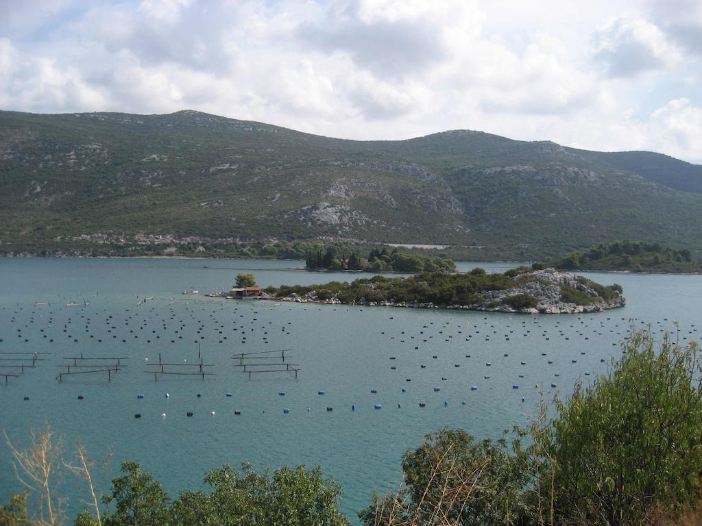 Holiday Home Villa Pindo Ston Εξωτερικό φωτογραφία
